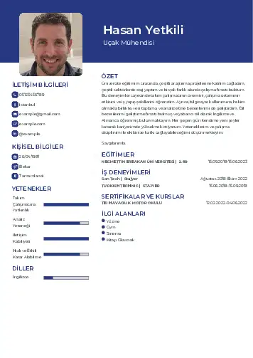 Havacılık Ve Uzay Uçak Mühendisi Cv Örnekleri cv indir